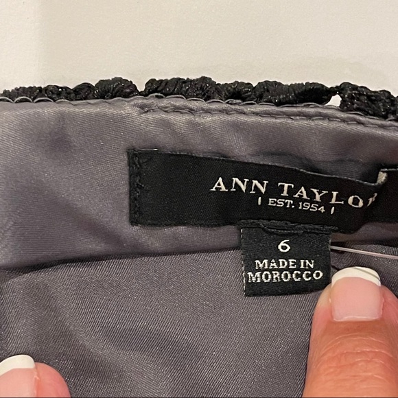 Ann Taylor NWOT lace lined Midi gorgeous Skirt. - Picture 3 of 6